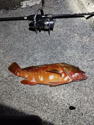 西伊豆
