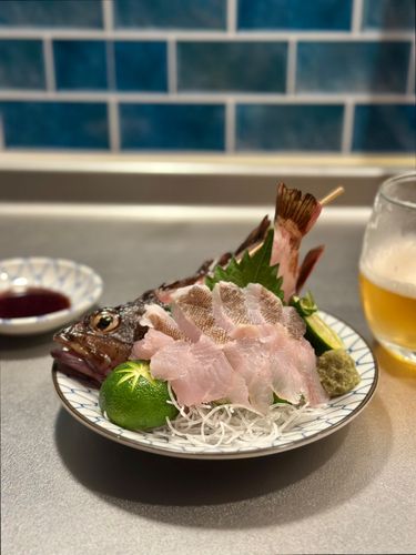 サバの釣果