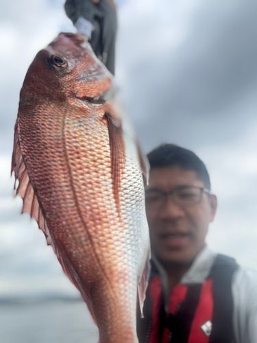 御幸の浜
