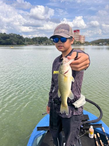 ブラックバスの釣果
