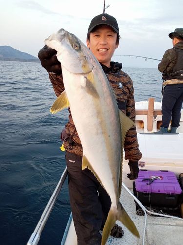 ヒラマサの釣果