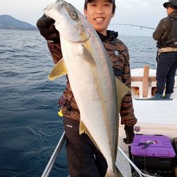 ヒラマサ