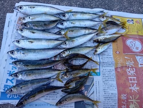 福浦港（羽咋）
