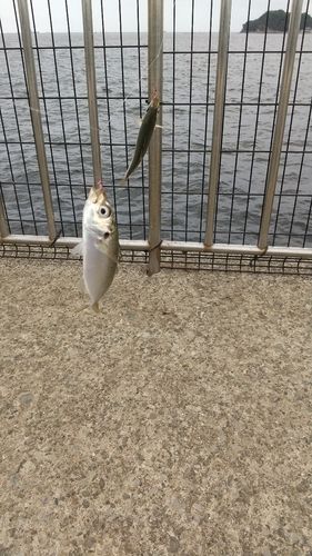 うみかぜ公園