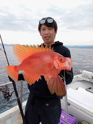 チカメキントキの釣果