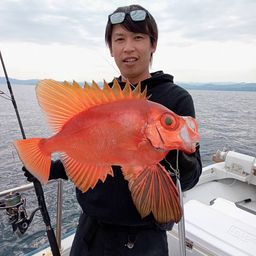 チカメキントキ