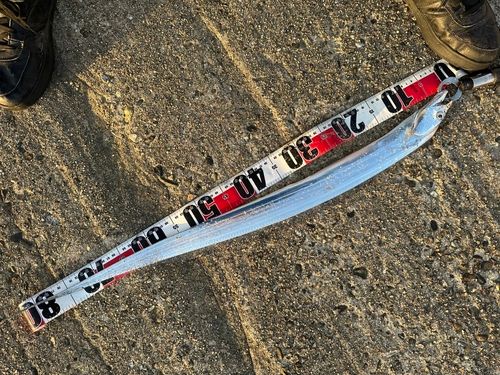 タチウオの釣果