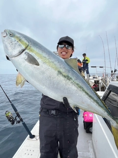 ブリの釣果