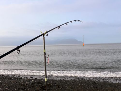 今沢海岸