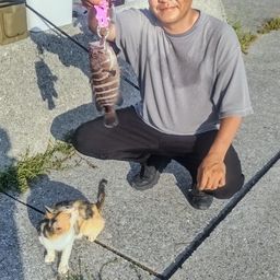 マハタ