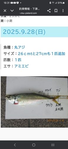 和歌浦湾