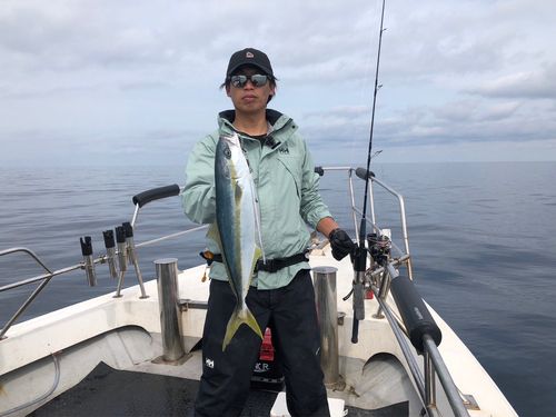 ヒラマサの釣果