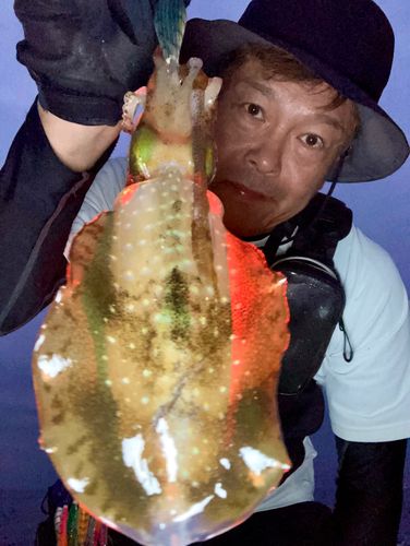 知多湾