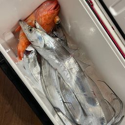 タチウオ