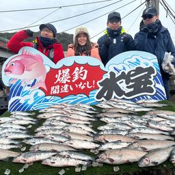 トラウトサーモン