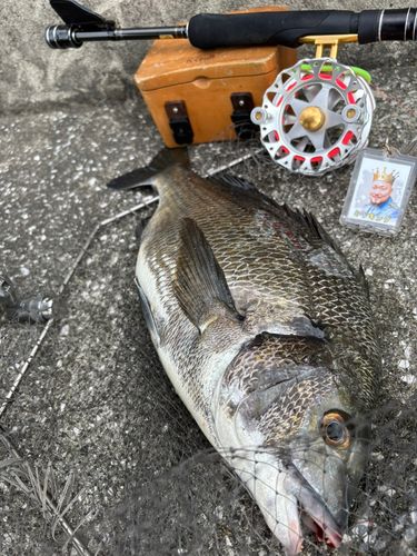豊洲ぐるり公園