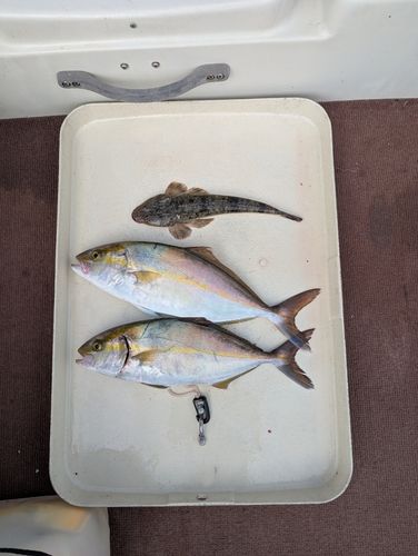 庄内湖