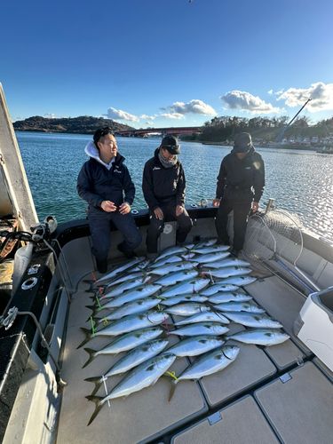 ブリの釣果