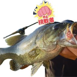 スモールマウスバス