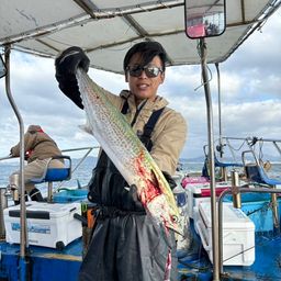 サワラ