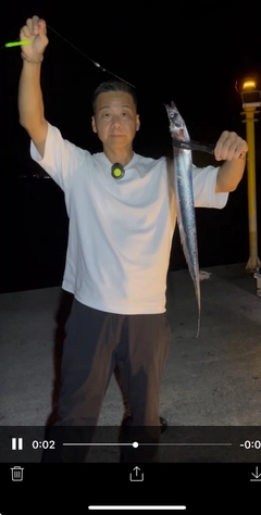 タチウオの釣果