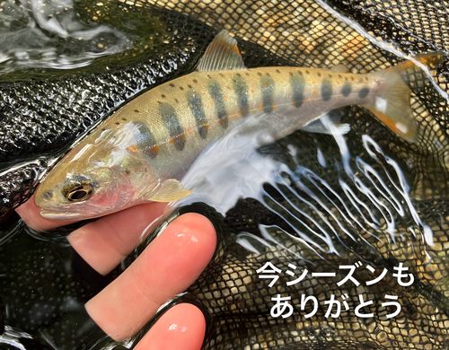 長野県南部