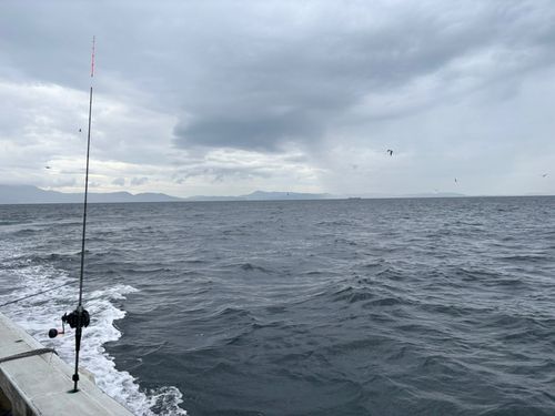 大阪湾