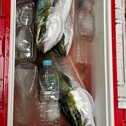 ハマチ