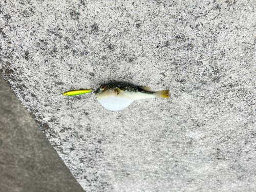 高松沖