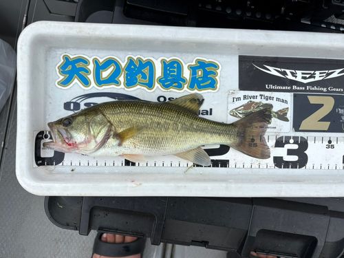戸面原ダム