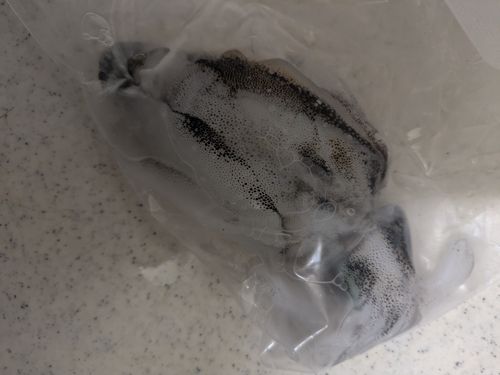 須磨海岸
