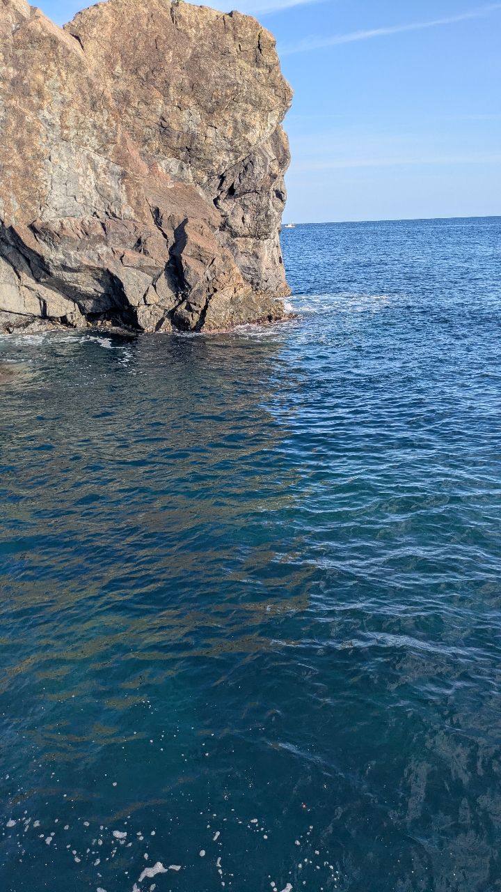 FOX-TAIL0723さんの釣果 2枚目の画像