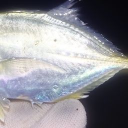 メッキ