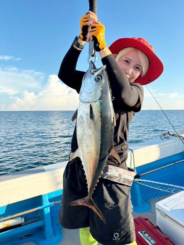 コシナガマグロの釣果