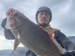 ヒレナガカンパチの釣果