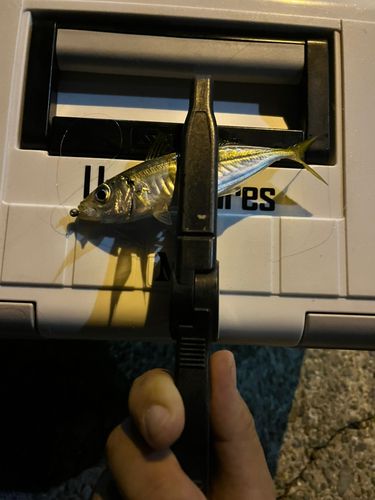 垂水漁港