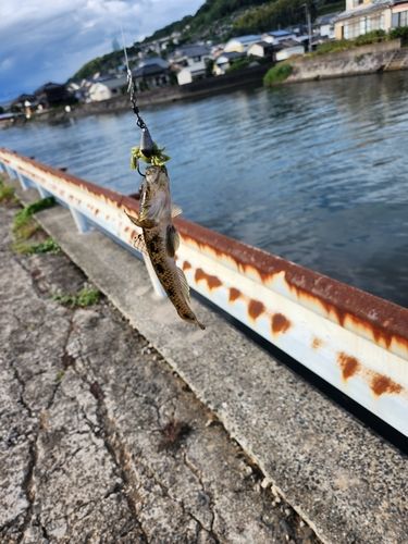大村湾（北部）
