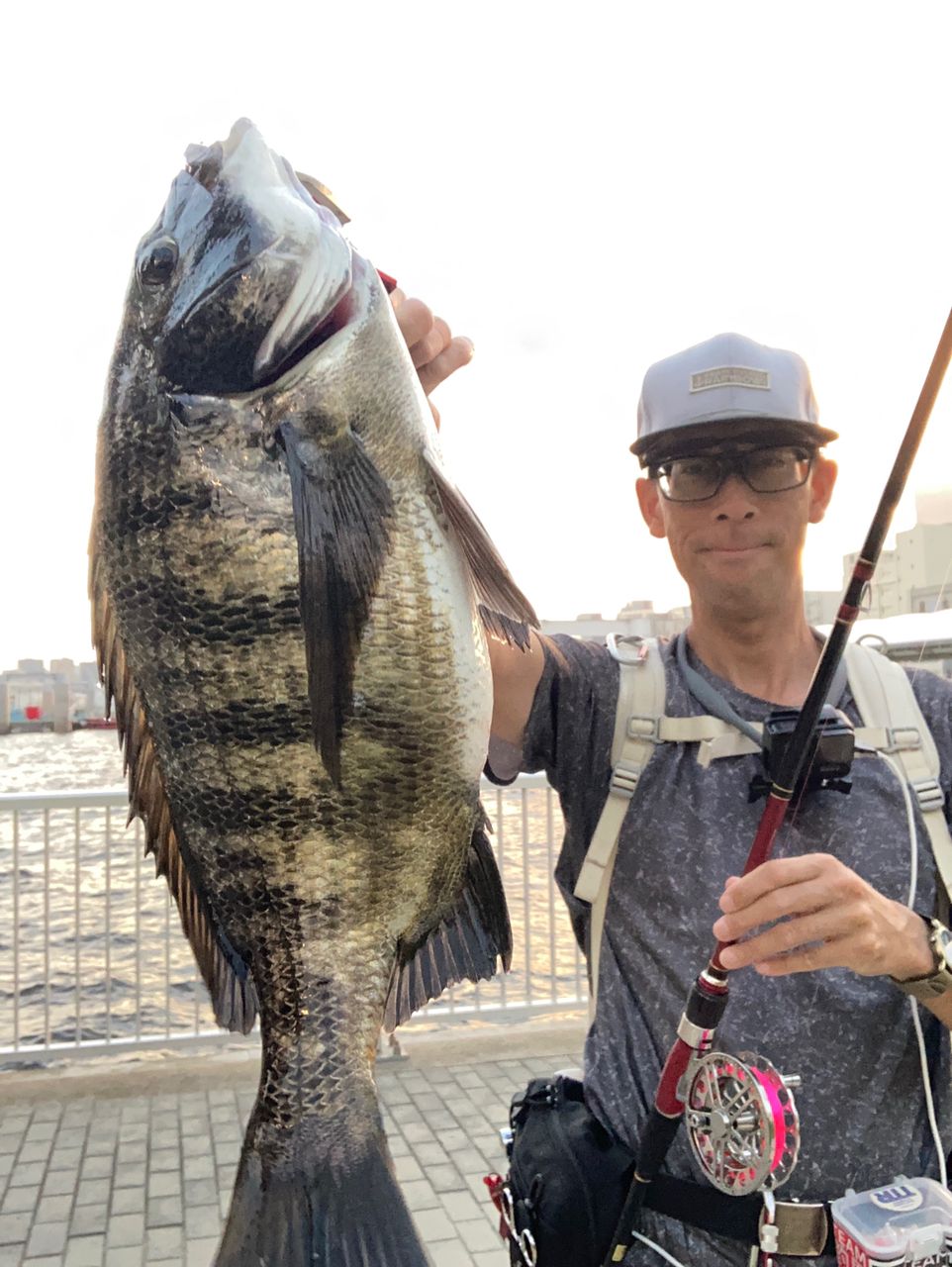 DAIWA 18ブラックジャック スナイパー ヘチ XH-270MK・Vの最安値