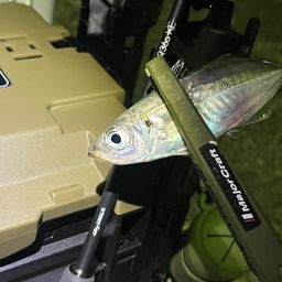 アジ