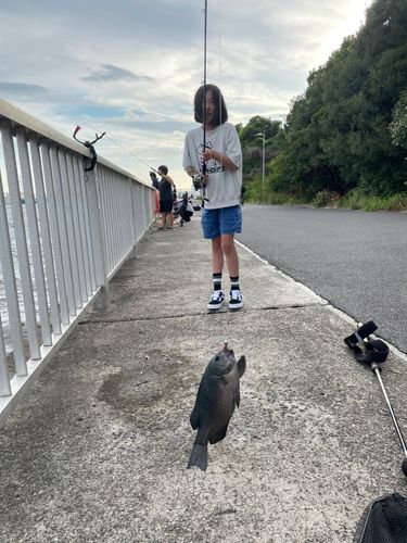 ふれーゆ