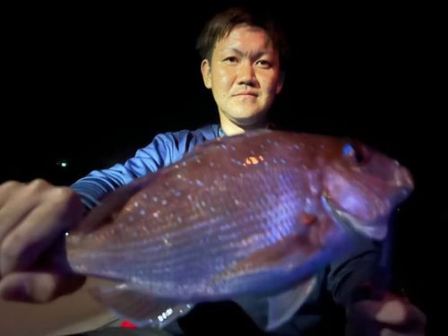 タイの釣果