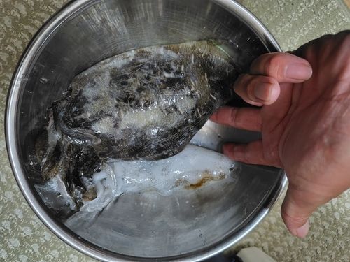 毘沙門湾