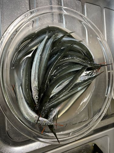 広島湾