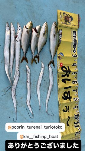 知多半島野池群
