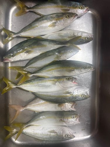 浜名湖