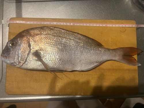 玄界灘