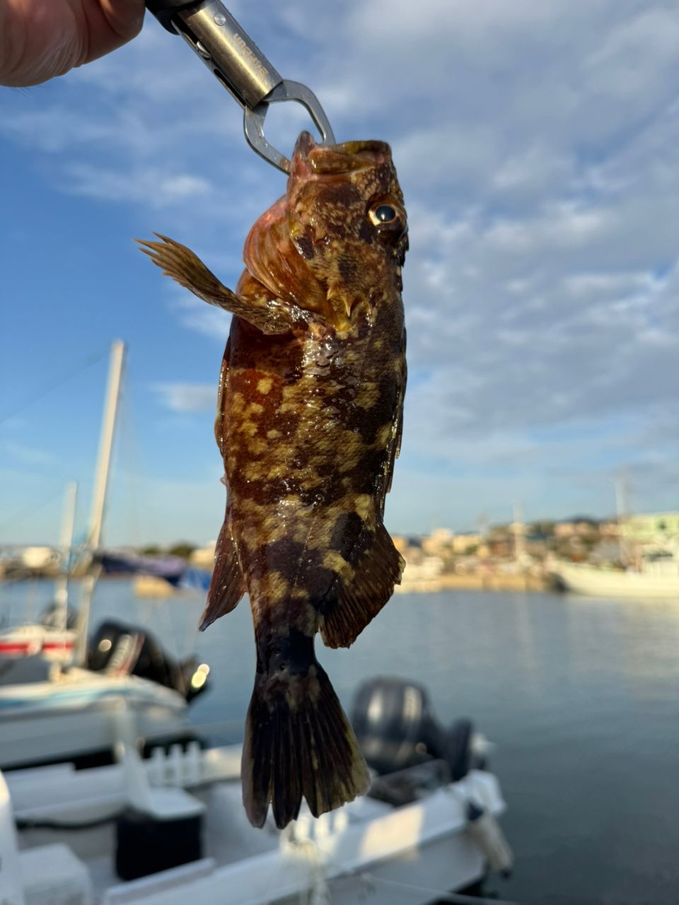 SHIMANO 23ワールドシャウラ リミテッド 1705R-2の最安値・インプレ