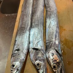 タチウオ
