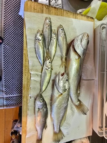 若洲海浜公園海釣り施設