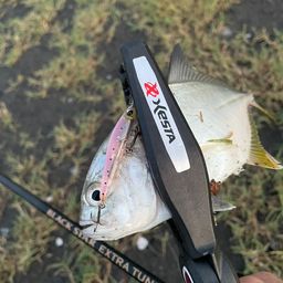 メッキ